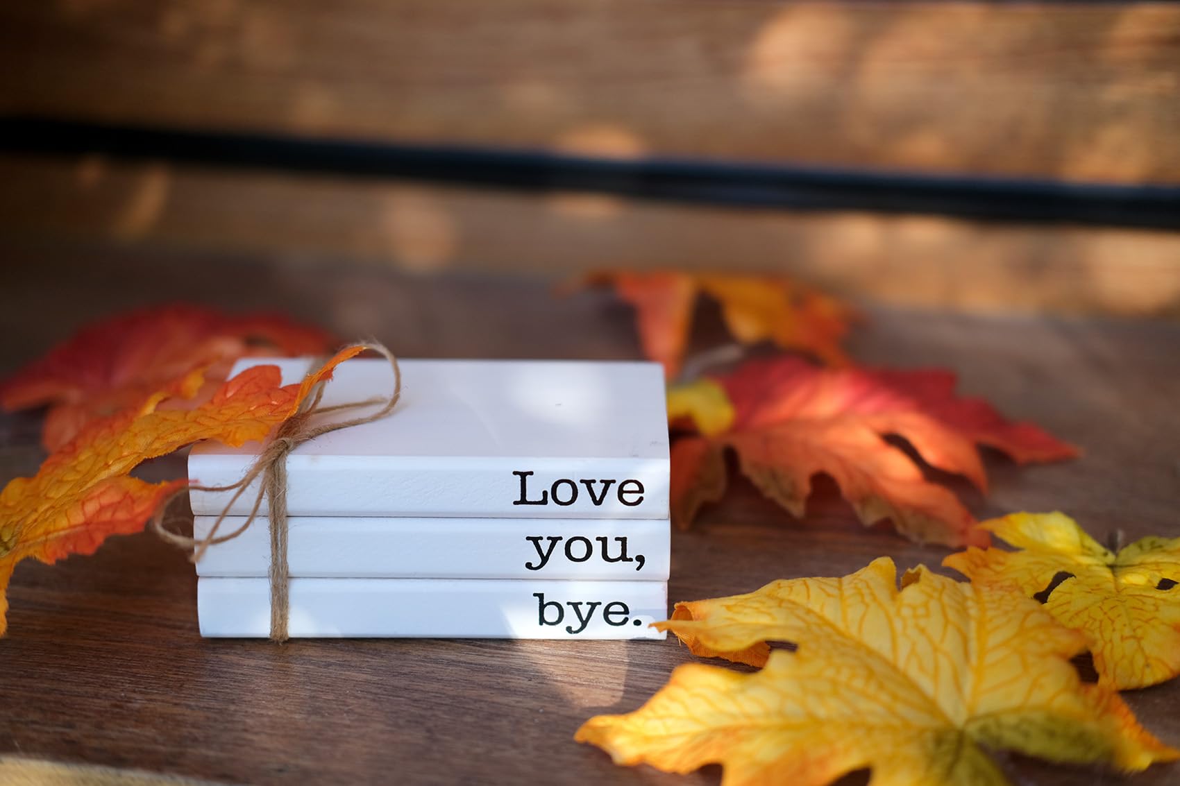 RUKEJUNE Cute Love You Bye Mini Wooden Faux Books, Express Love and Warm Family Sign for Office Front Door Bathroom Hallway Entr