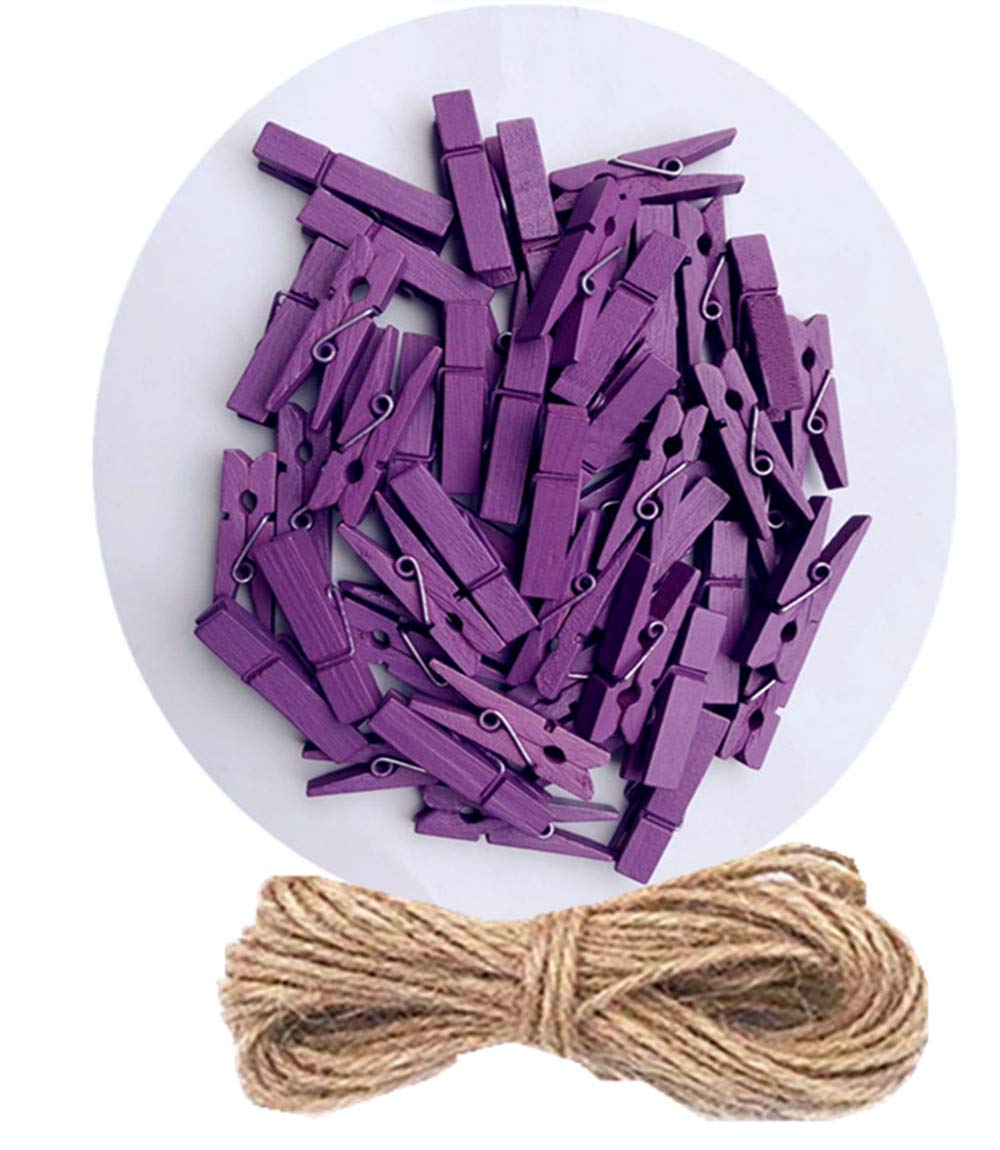 Durreus 50 Piece Small Wood Clips Mini Clothespins With Spring Jute Twine Durable Wall Peg Pin For Craft,Art Project,Diy,Party D