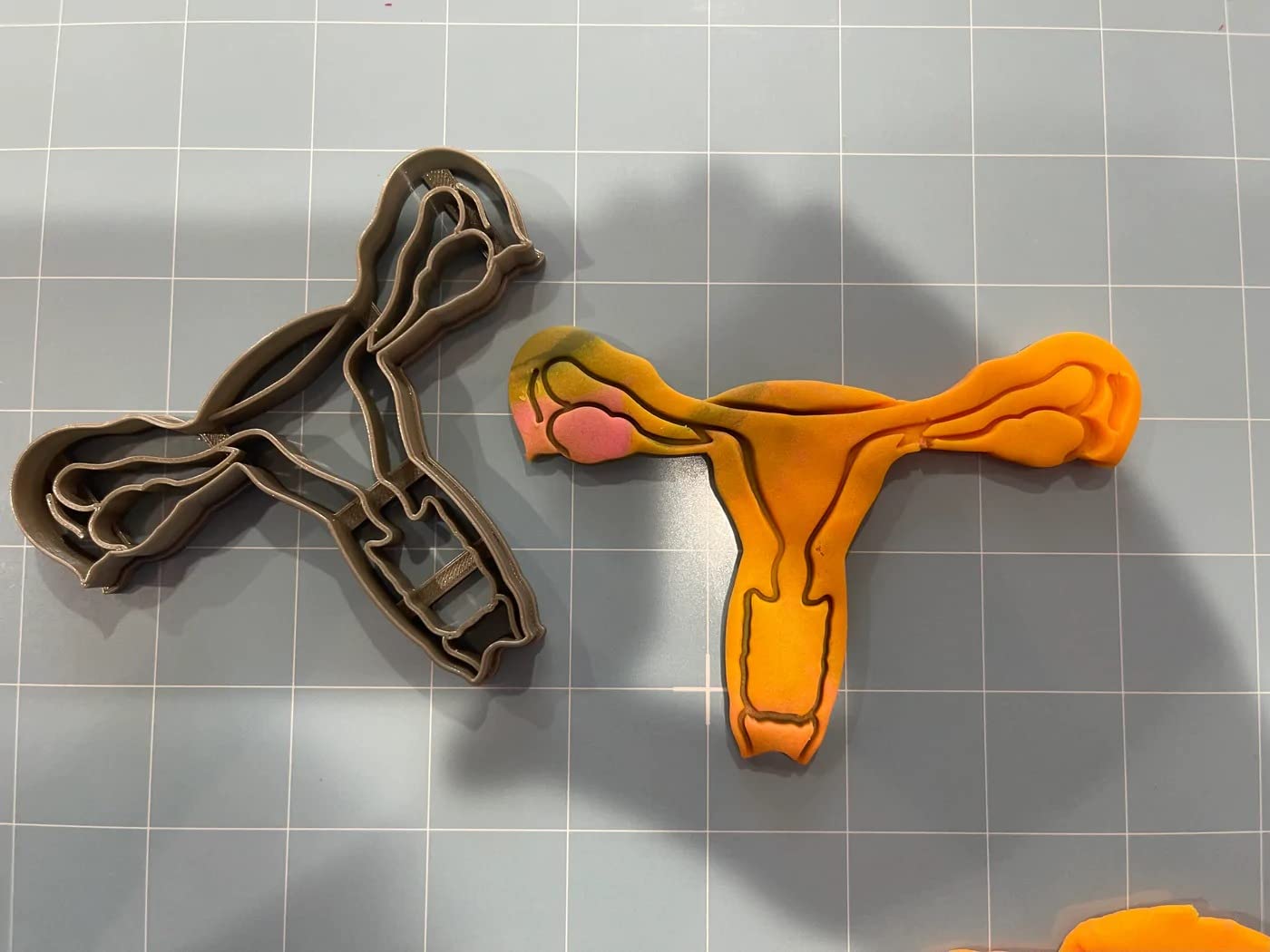 Female Anatomy Cookie Cutter