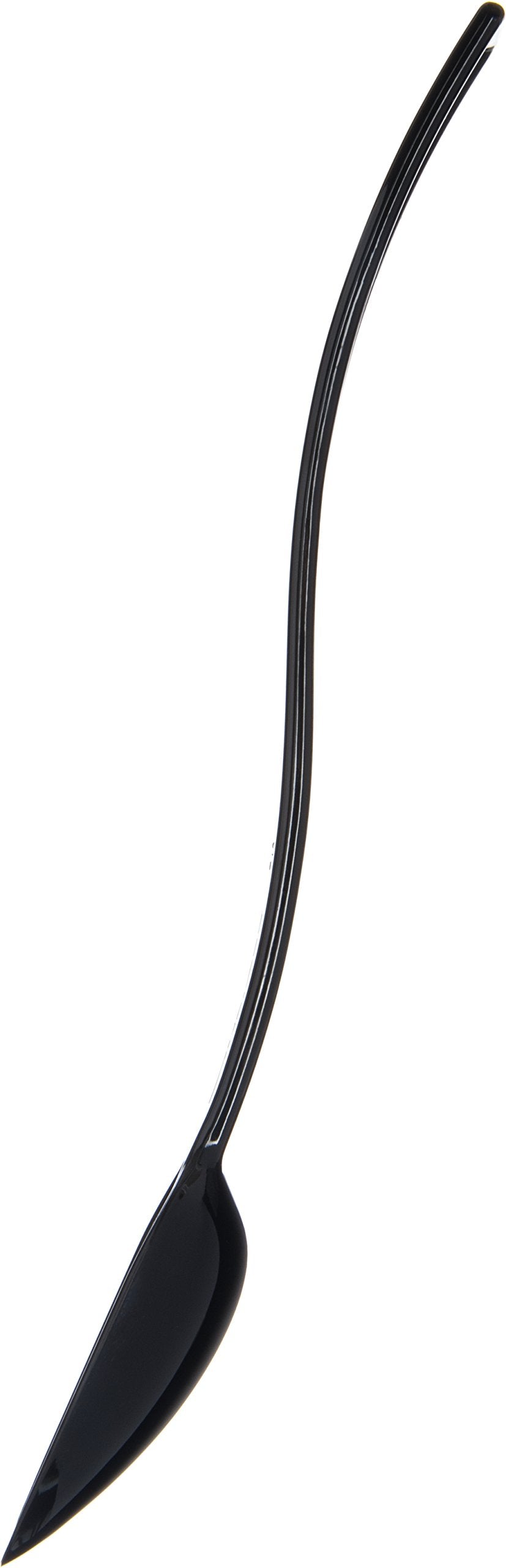 Carlisle Foodservice Products Plastic Solid Spoon, 10 Inches, Black