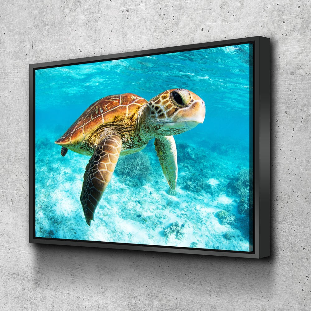 Underwater Sea Turtle Canvas Wall Art, Sea Turtle Canvas, Turtle Decor, Chelonioidea