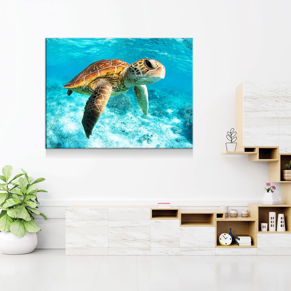 Underwater Sea Turtle Canvas Wall Art, Sea Turtle Canvas, Turtle Decor, Chelonioidea