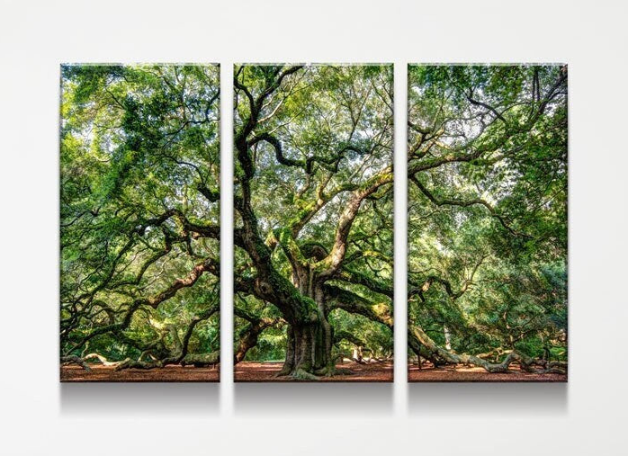 Angel Oak Tree Canvas Wall Art, Wilderness,  Southern Live Oak, 3 Piece Wall Art Set, Extra Large Wall Art, Johns Island