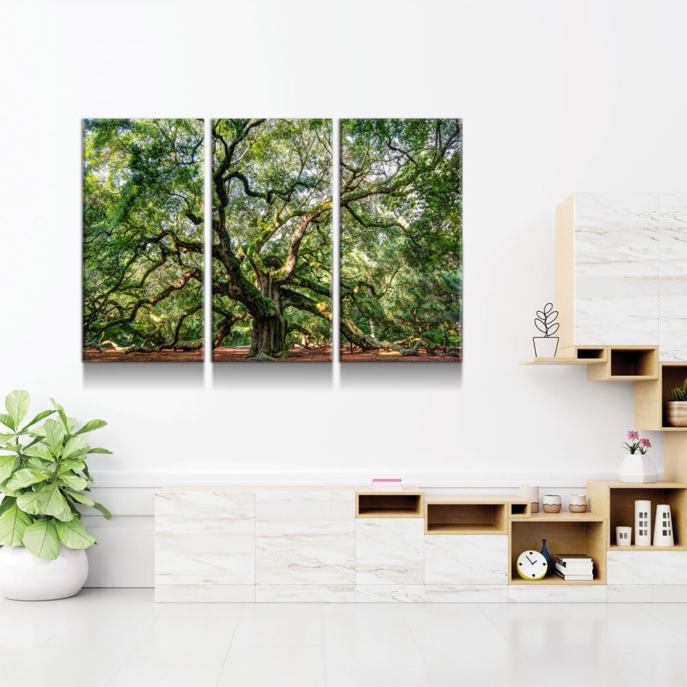 Angel Oak Tree Canvas Wall Art, Wilderness,  Southern Live Oak, 3 Piece Wall Art Set, Extra Large Wall Art, Johns Island