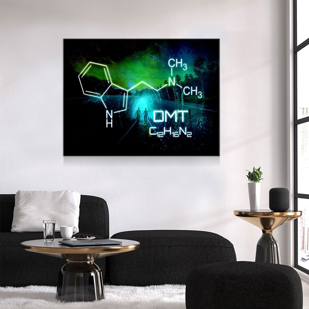 The Spirit Molecule Canvas Wall Art, Trippy Decor, Ayahuasca Decor