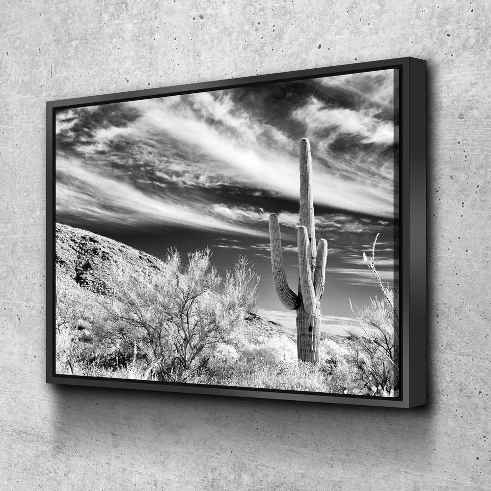 Saguaro Cactus Canvas Wall Art, Black and White Saguaro Cactus Decor, Cactus Decor, Desert Art, Saguaro National Park at Tucson, Arizona