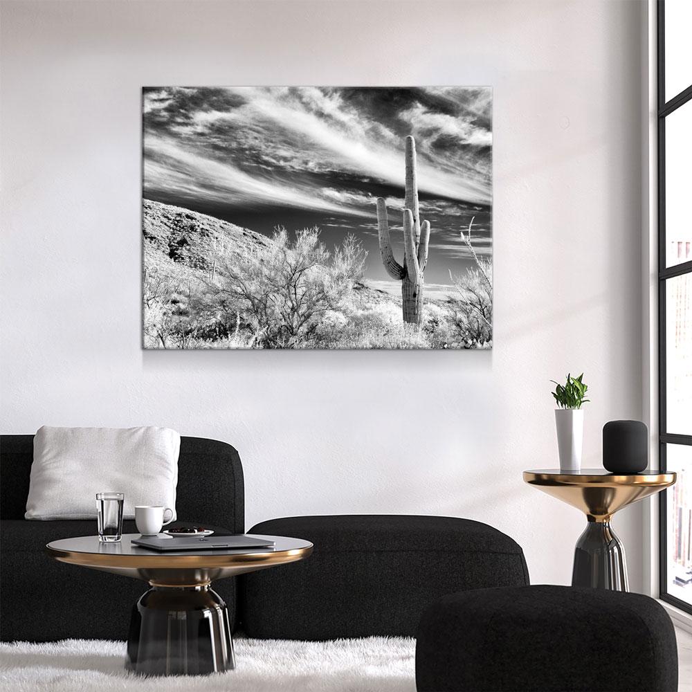Saguaro Cactus Canvas Wall Art, Black and White Saguaro Cactus Decor, Cactus Decor, Desert Art, Saguaro National Park at Tucson, Arizona