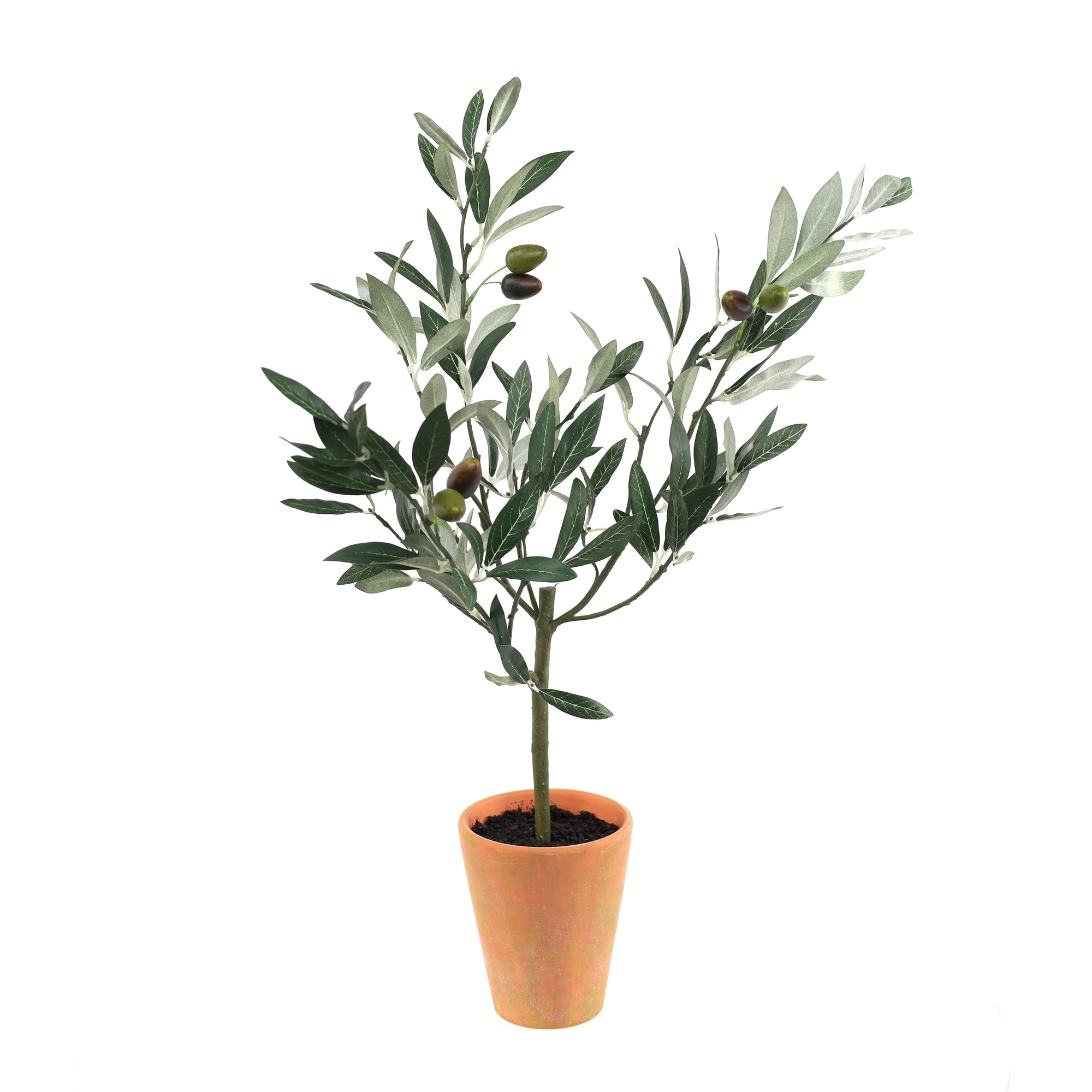 Olive Topiary in Pot 22H Polyester/Terra Cotta