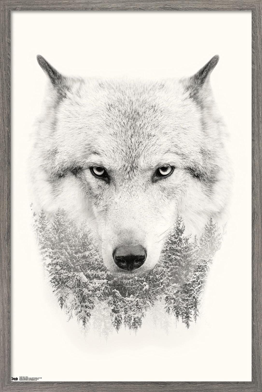 Trends International Wolf - Trees Wall Poster, 22.375'' X 34'', Barnwood Framed Version