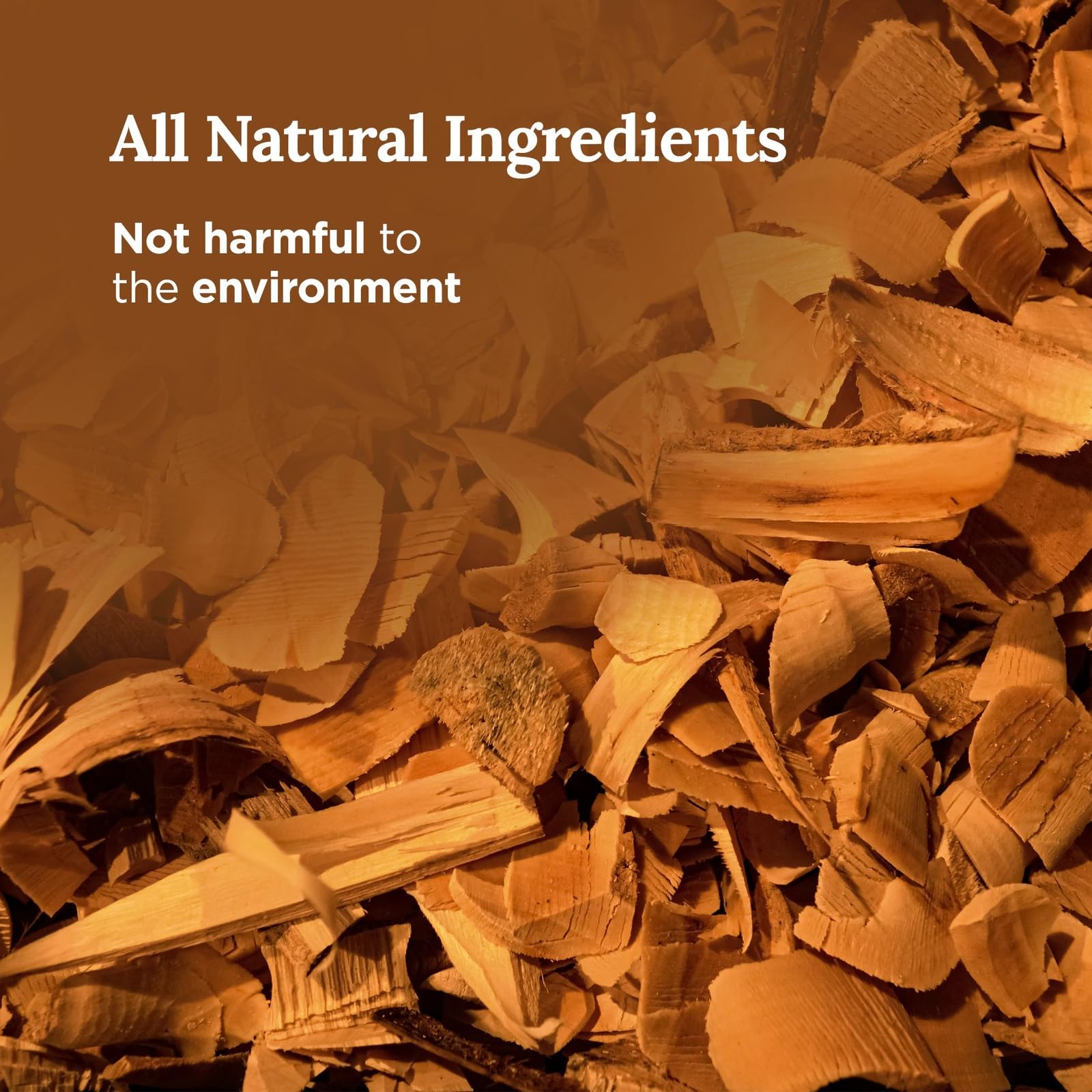 Magnificent 101 Long Lasting Full Moon Aromatherapy Candle With Sage, Frankincense, Sandalwood, Rose & Cedar  6 Oz - 35 Hour Bur