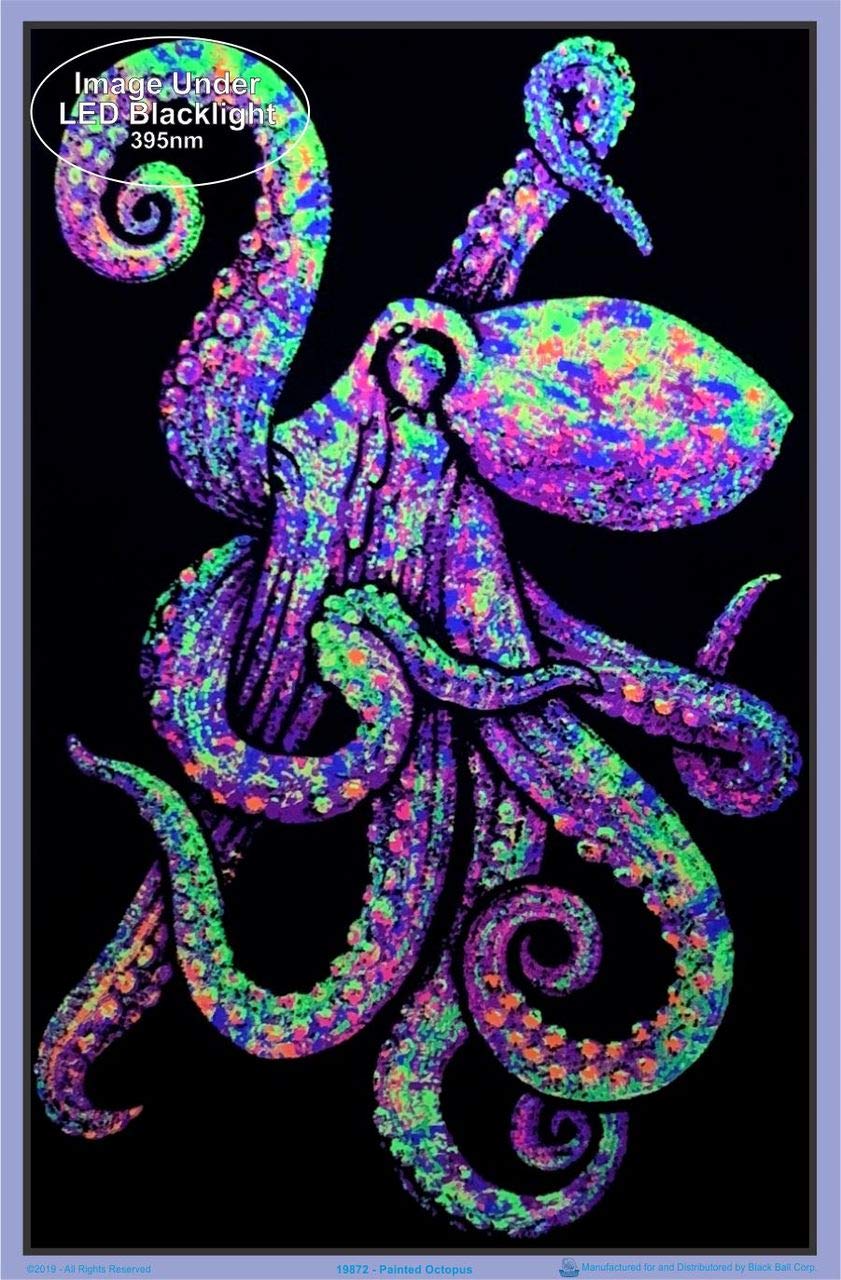 Painted Octopus - Laminated Blacklight Poster - 23.5'' X 35.5''