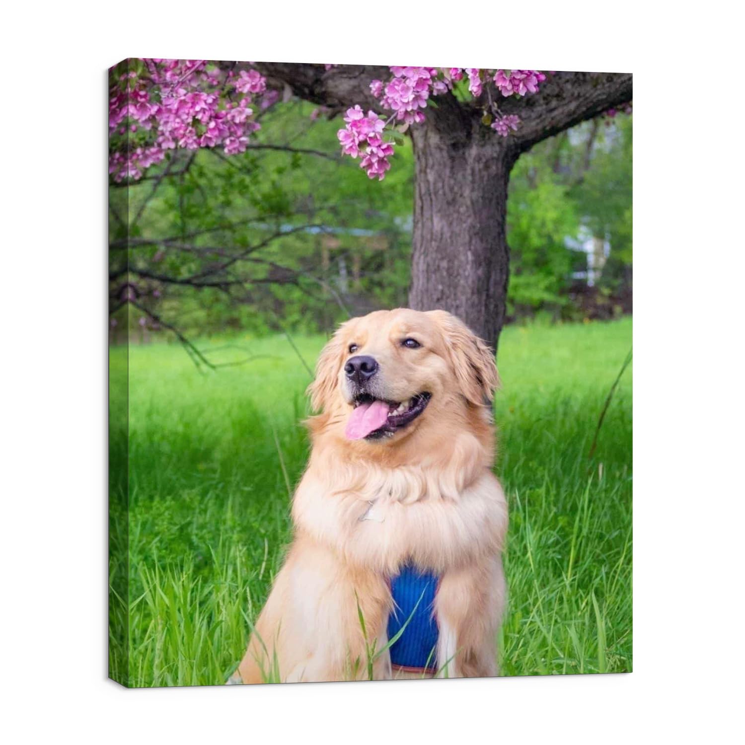Homelifairy Personalized Custom Canvas Photo Prints - Canvas Prints With Your Photos Pictures On Canvas Wall Art For Home Decor,