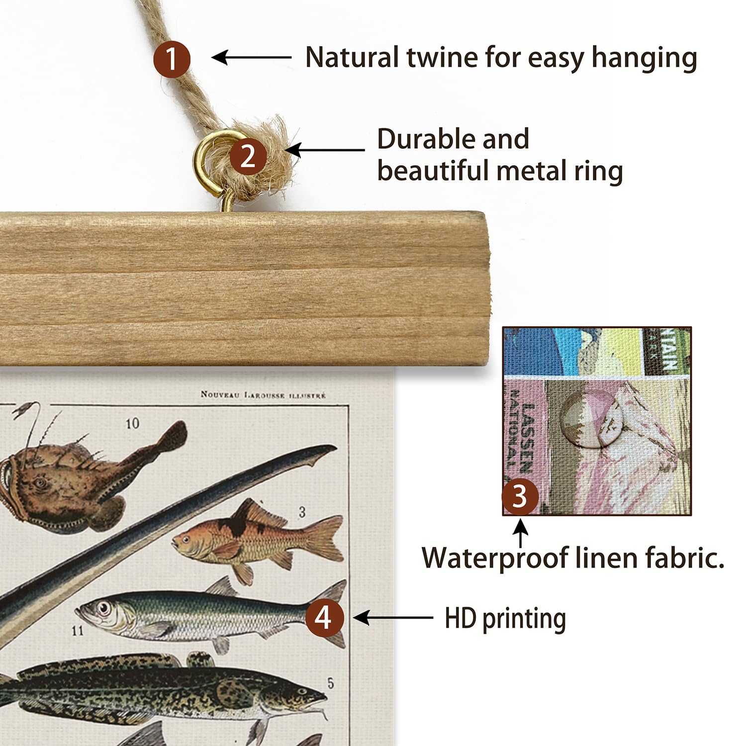 Xiaoaika Set Of 2 Vintage Marine Life And Crustaceans Wall Art Posters - Nautical Ocean Creatures & Seafood Illustration Prints