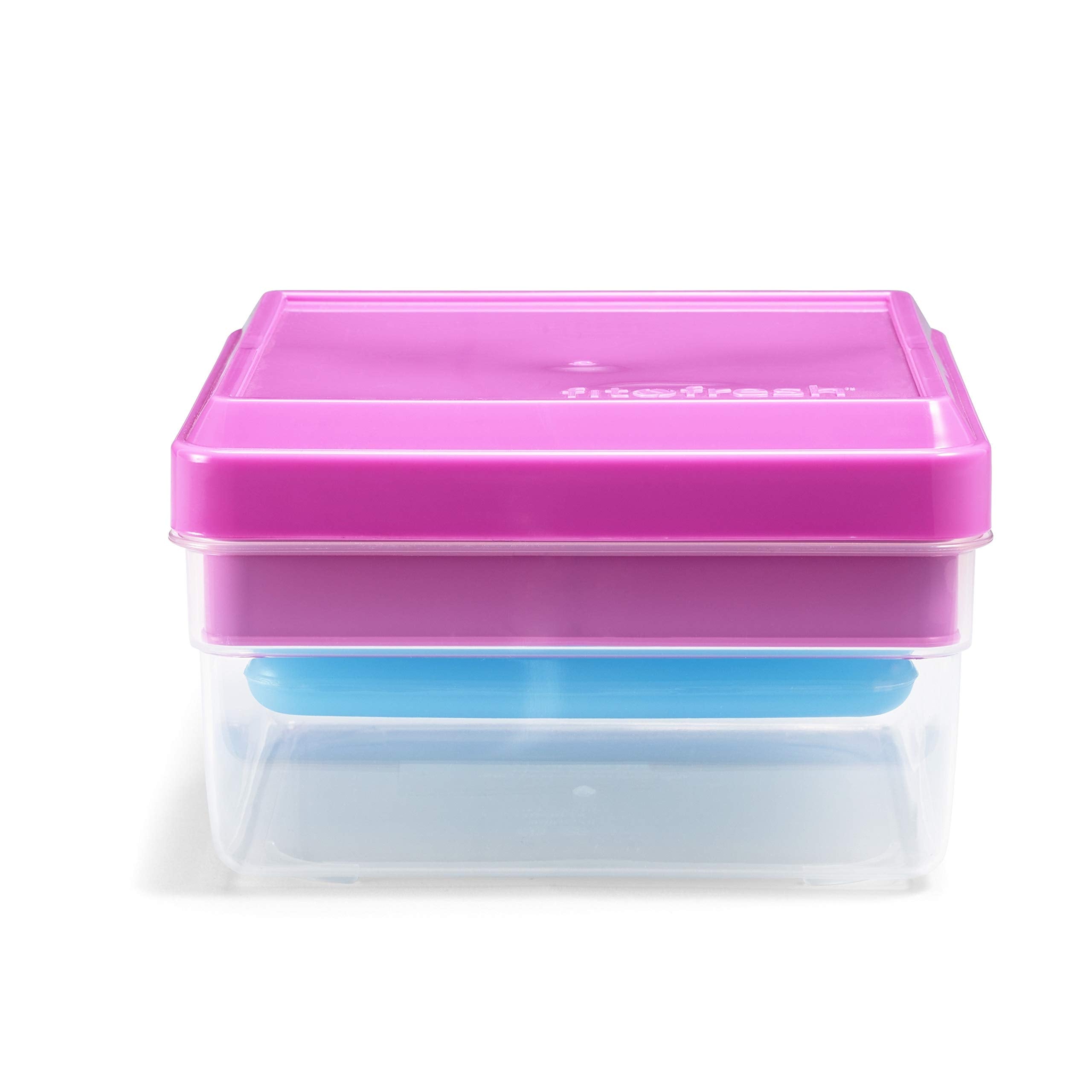 Fit & Fresh Divided Carrier With Removable Ice Lunch Pack, 5.75'' X 6'' X 3.625'', Colors May Vary