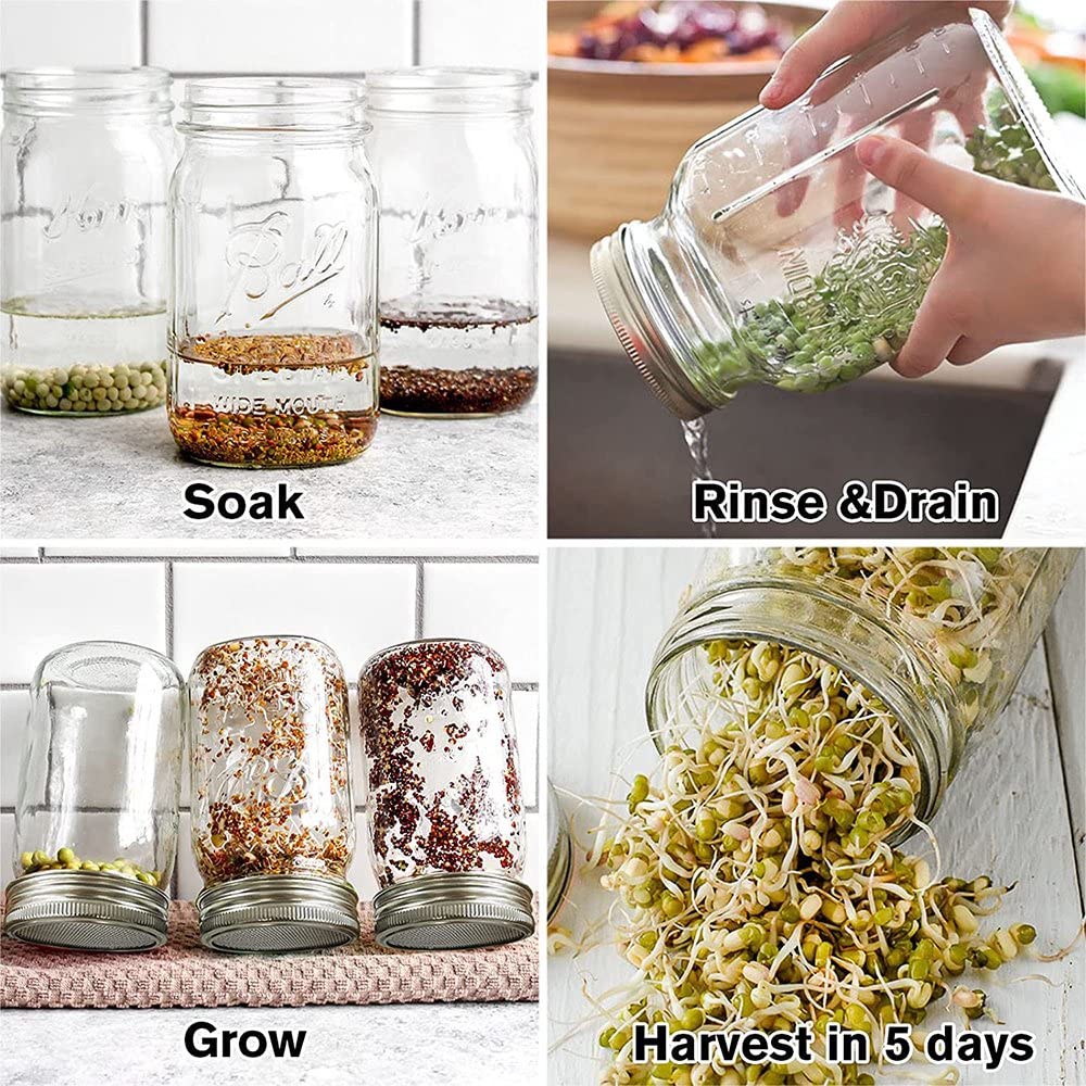 12 Pack Sprouting Lids,304 Stainless Steel Screen Filter Strainer Lid For 2.75 Inch Regular Mouth Mason Jar,Mesh Bean Sprout Sie