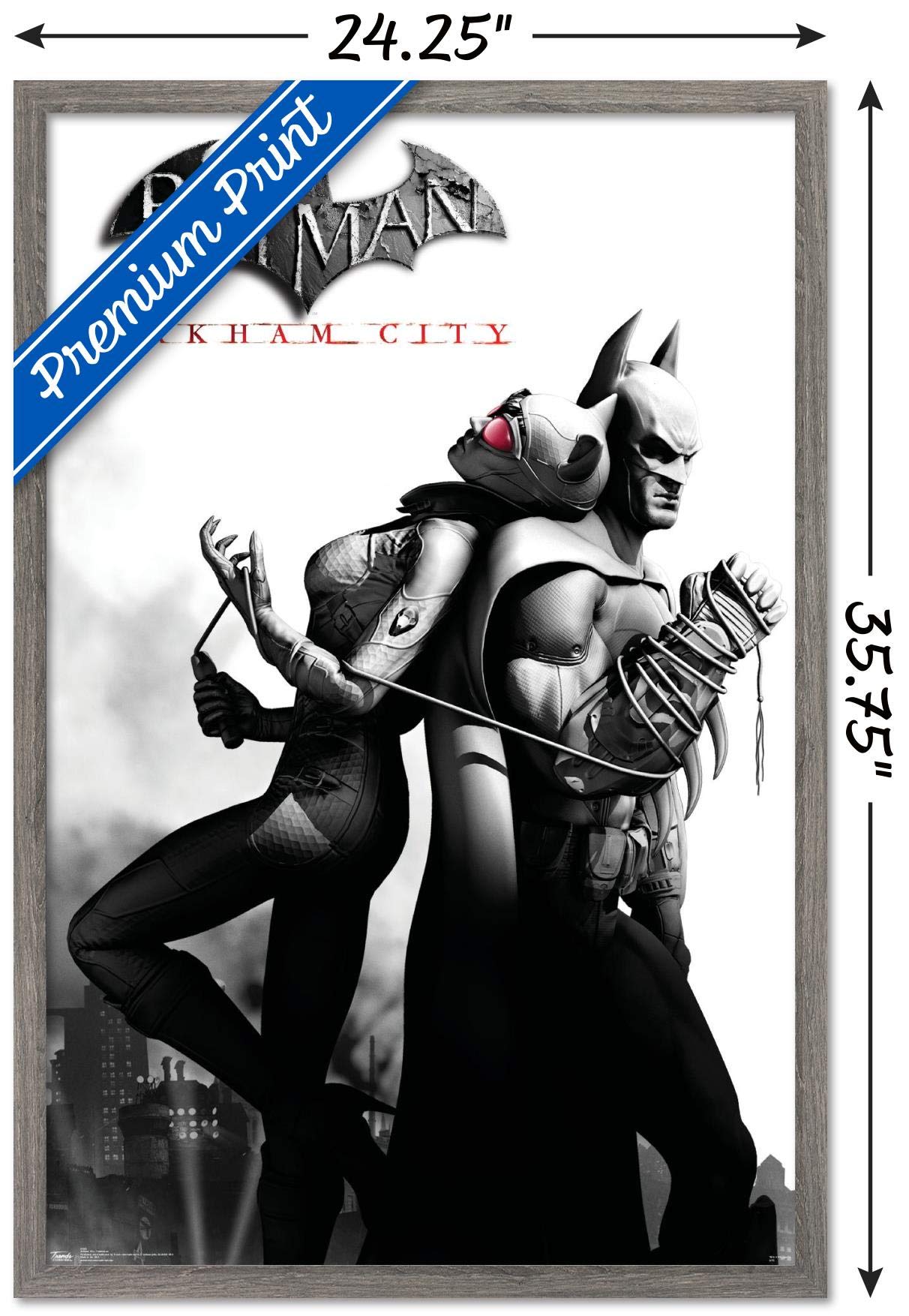 Trends International Dc Comics Video Game - Arkham City - Catwoman Wall Poster, 22.375'' X 34'', Barnwood Framed Version