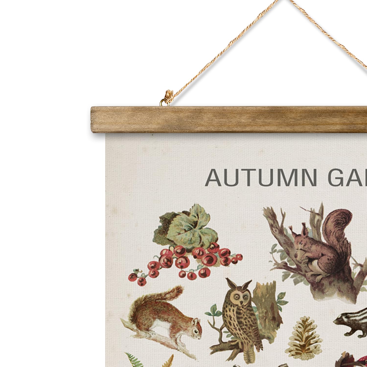 Xiaoaika Autumn Garden Wildlife Poster - Vintage Illustrated Seasonal Fauna And Flora Chart With Wooden Frame - Educational Wall