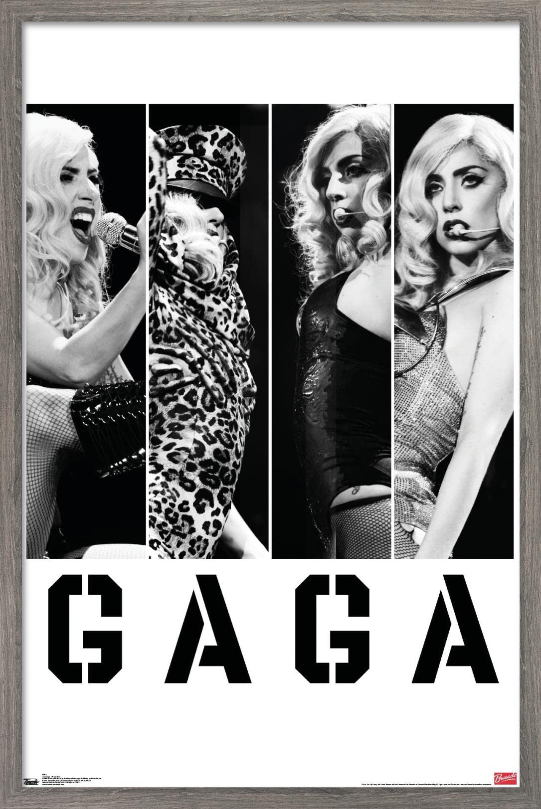 Trends International Lady Gaga - Photo Bars Wall Poster, 14.725'' X 22.375'', Barnwood Framed Version