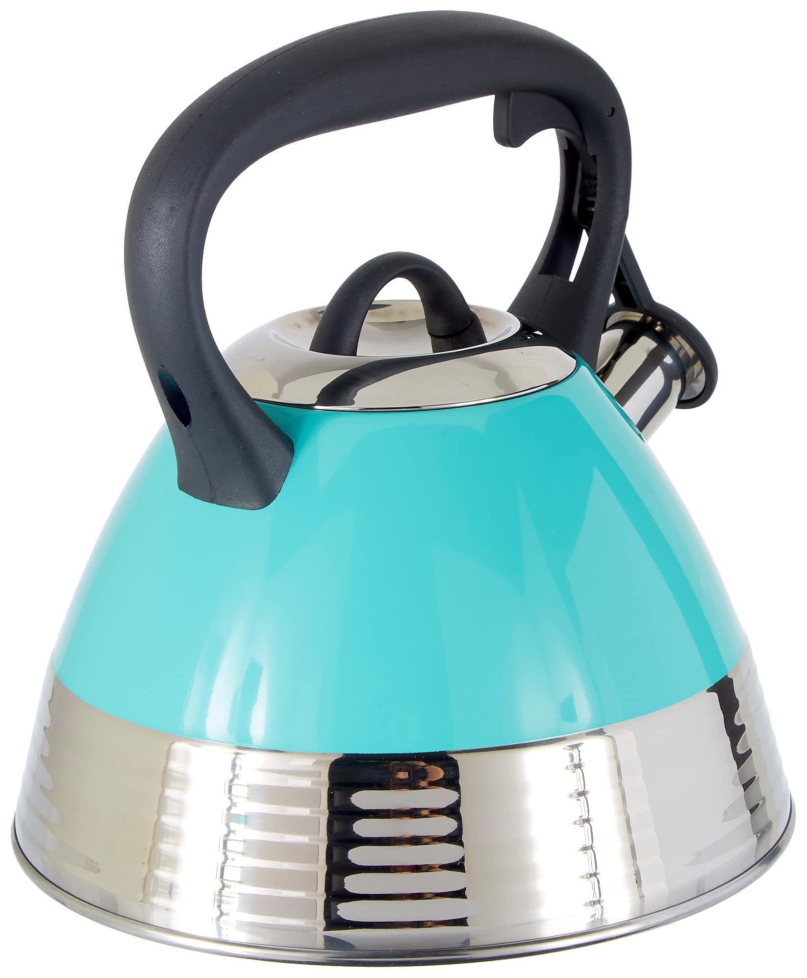 Mr. Coffee Whistling Tea Kettle One Size Blue