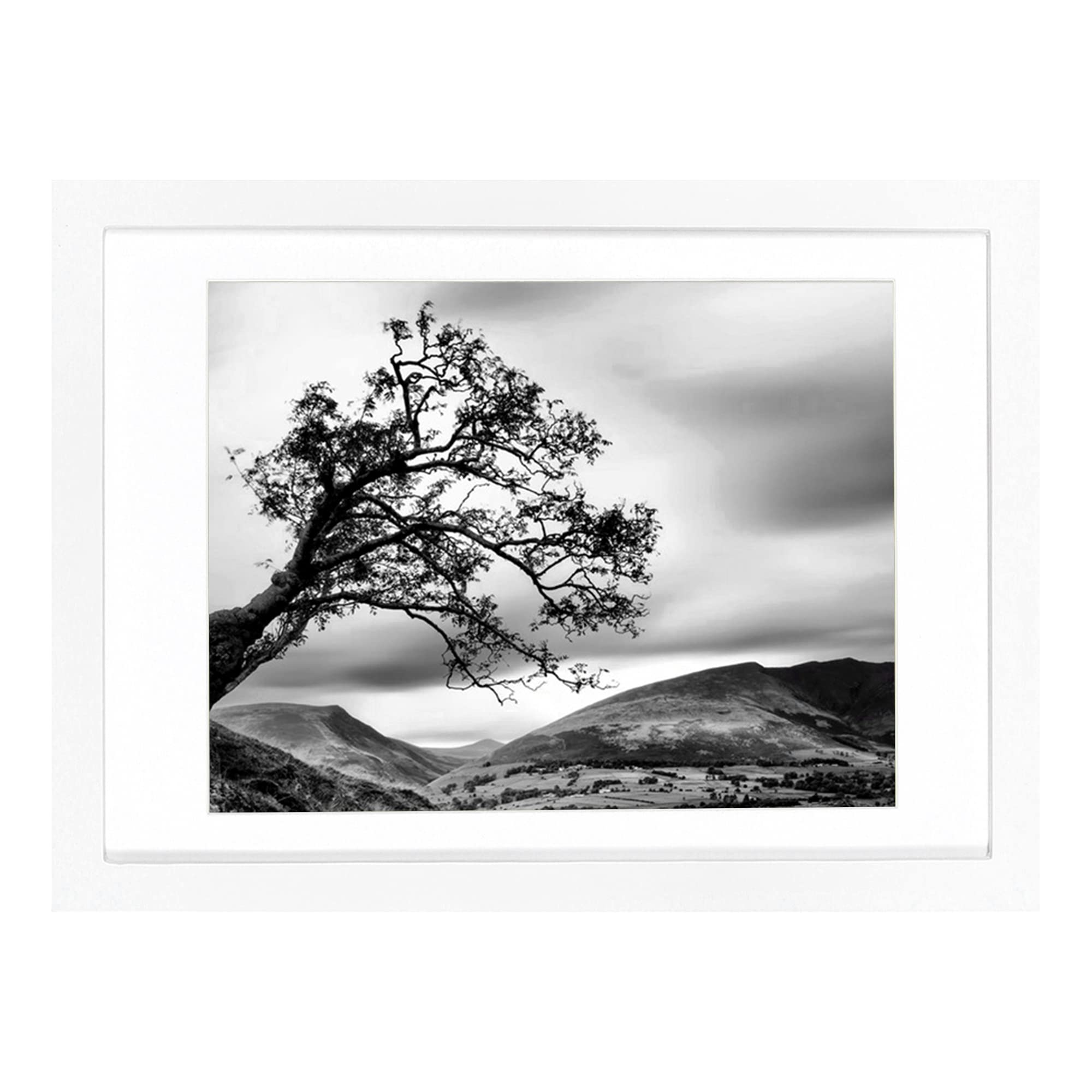 BOJIN 10x14 Picture Frames White, Solid Wood Display Pictures 8.5x11 with Mat or 10x14 Without Mat, Wall Hanging Document Certif