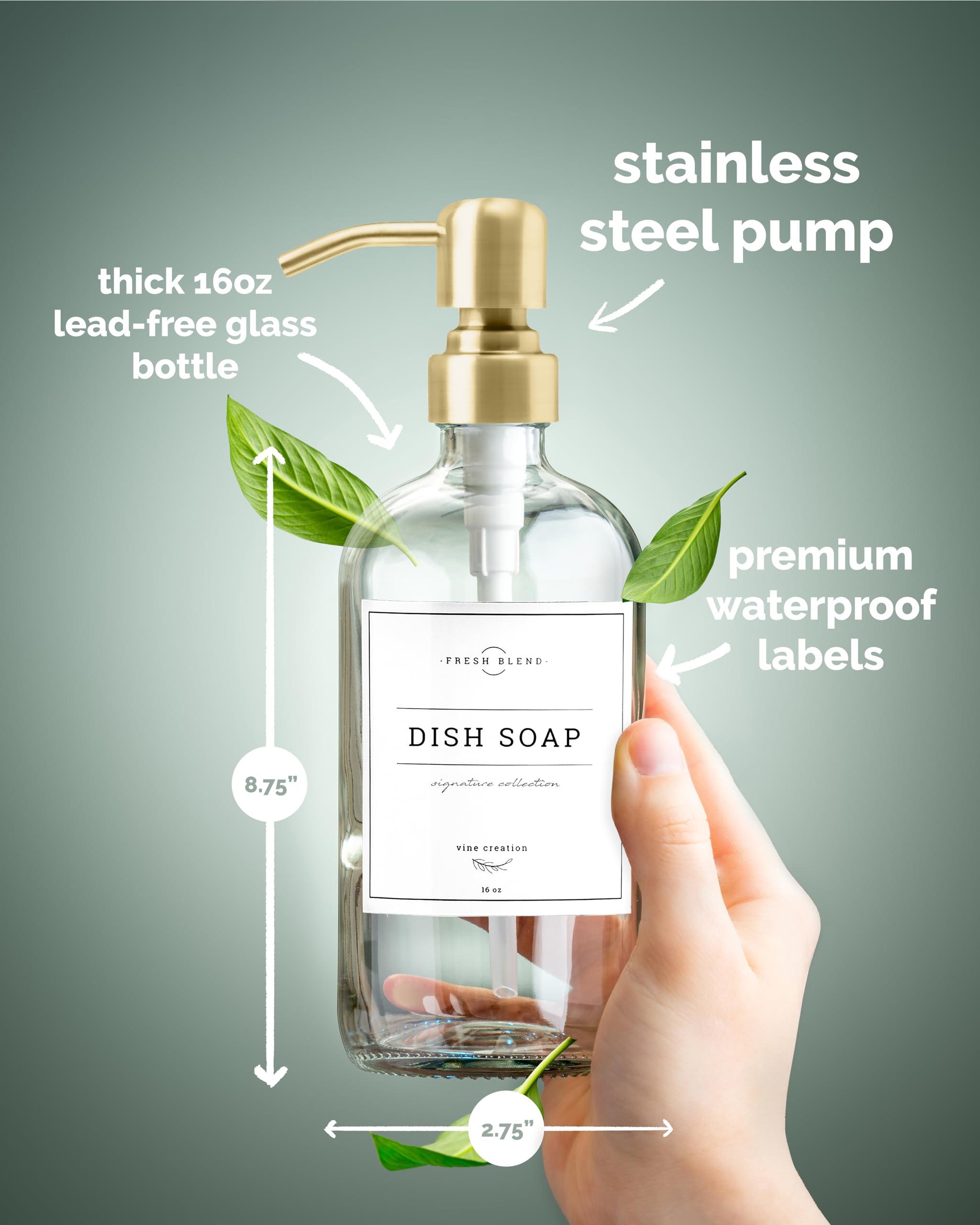 Vine Creations Clear Glass Soap Dispenser, 2 Pack Kitchen Soap Dispenser Set With Stainless Steel Pump, 16 Oz Hand Soap Dispense