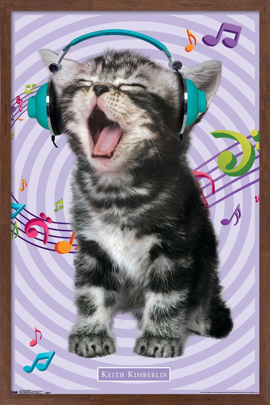 Trends International Keith Kimberlin - Kitten - Singing Wall Poster, 14.725'' X 22.375'', Mahogany Framed Version