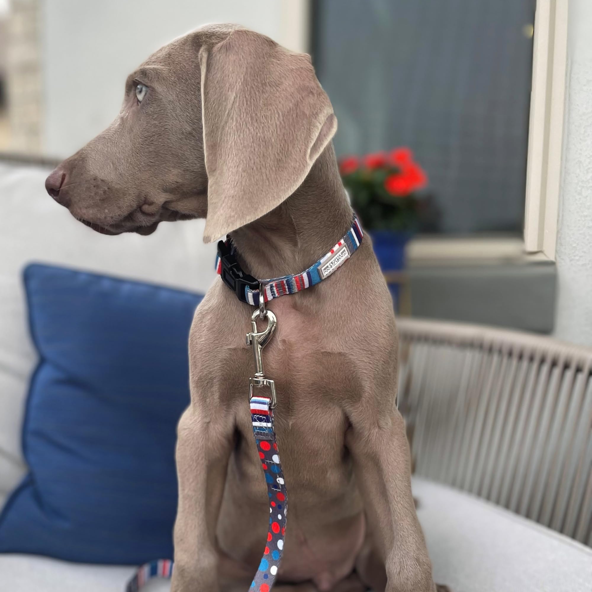 Lucky Love Dog Nautical Dog Collar and Leash Set, Medium Linus Combo, Polka Dot Striped Nylon for Male and Female Dogs