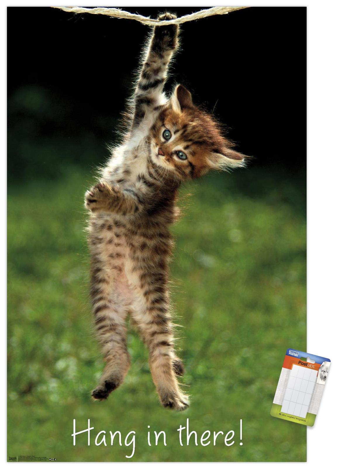Trends International Famous Kitten Hang In There Poster Wall Poster, 14.72'' X 22.37'', Premium Poster & Mount Bundle