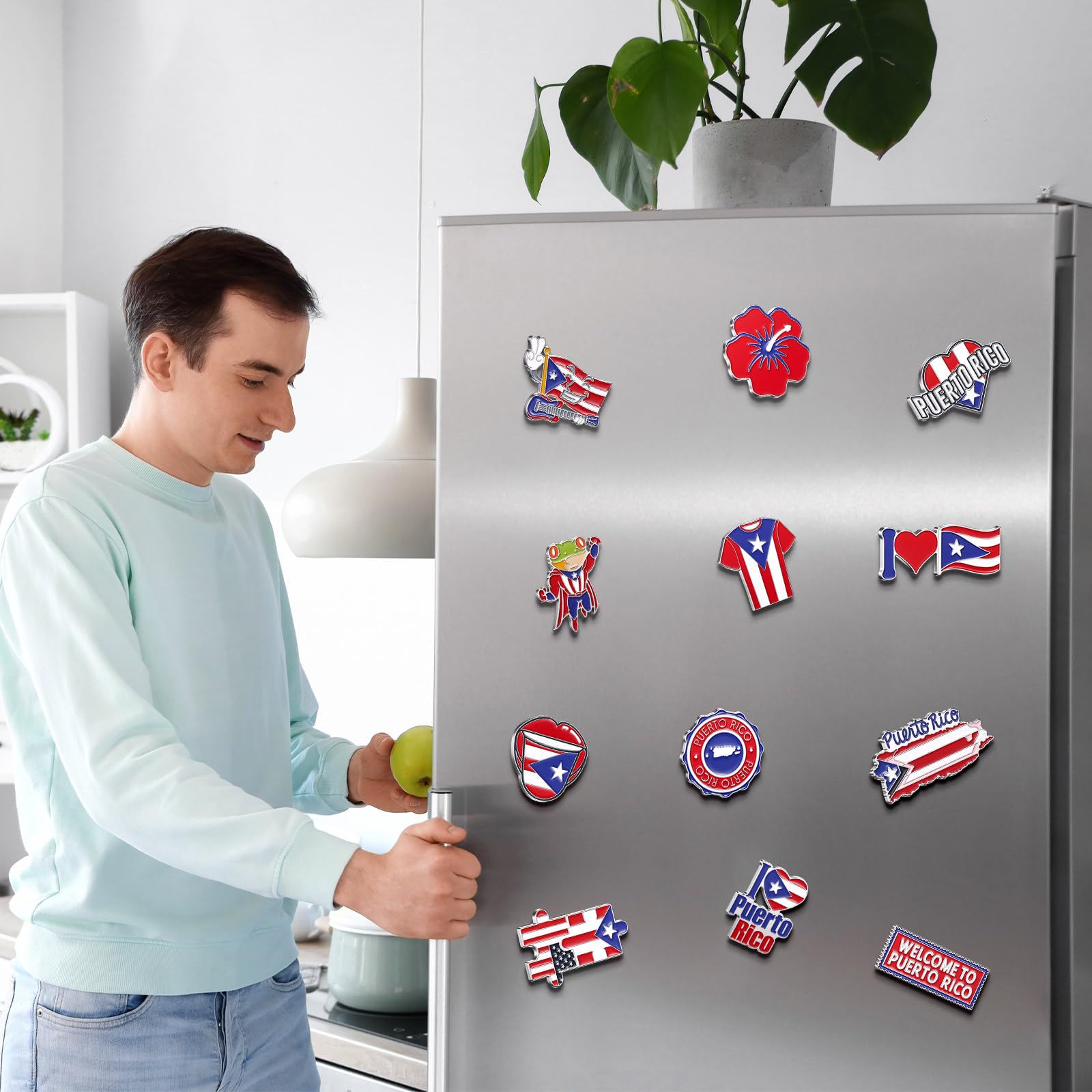 Konohan 12 Pcs Puerto Rico Magnets for Refrigerator Metal Fridge Magnet Magnetic Puerto Rico Souvenirs Gifts USA State Magnetic