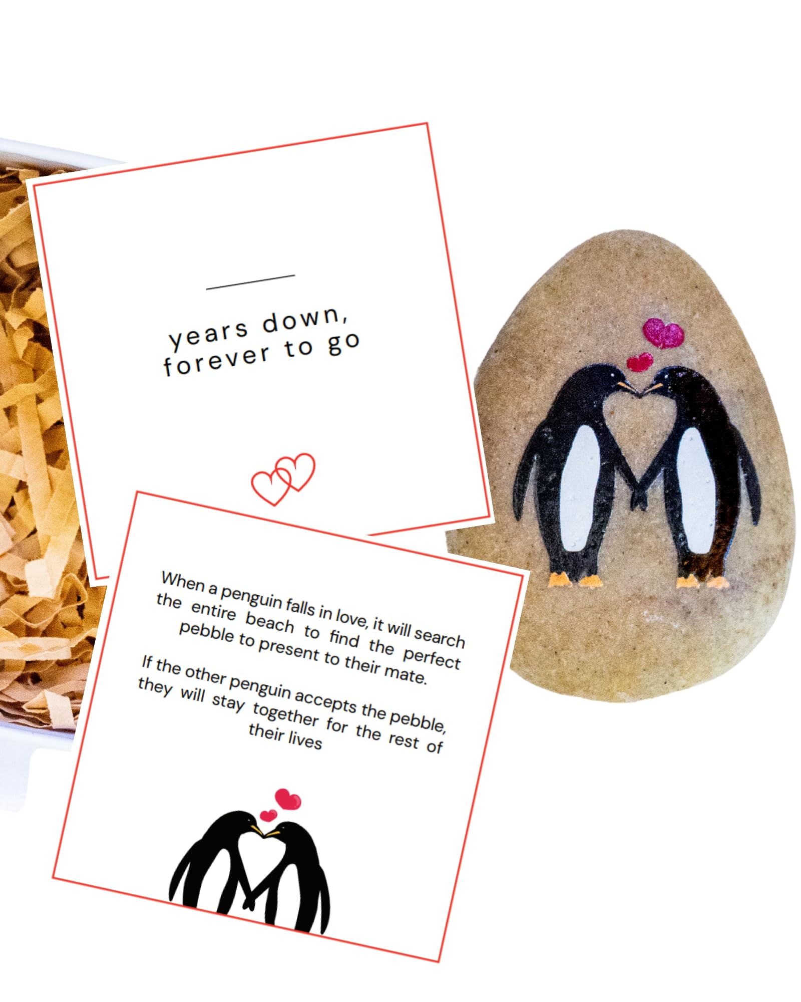 1 Year Anniversary for Boyfriend or Girlfriend - Penguin Pebble Gift- First Wedding Anniversary for Husband or Wife - One Year T