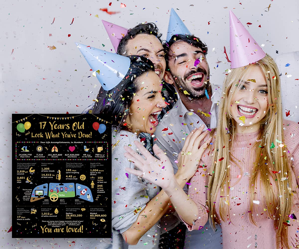 Card Birthday Life In Numbers - 17Th Birthday Decorations - Birthday Gift Ideas For 17 Years Old - 17Th Birthday Gifts - 17 Birt