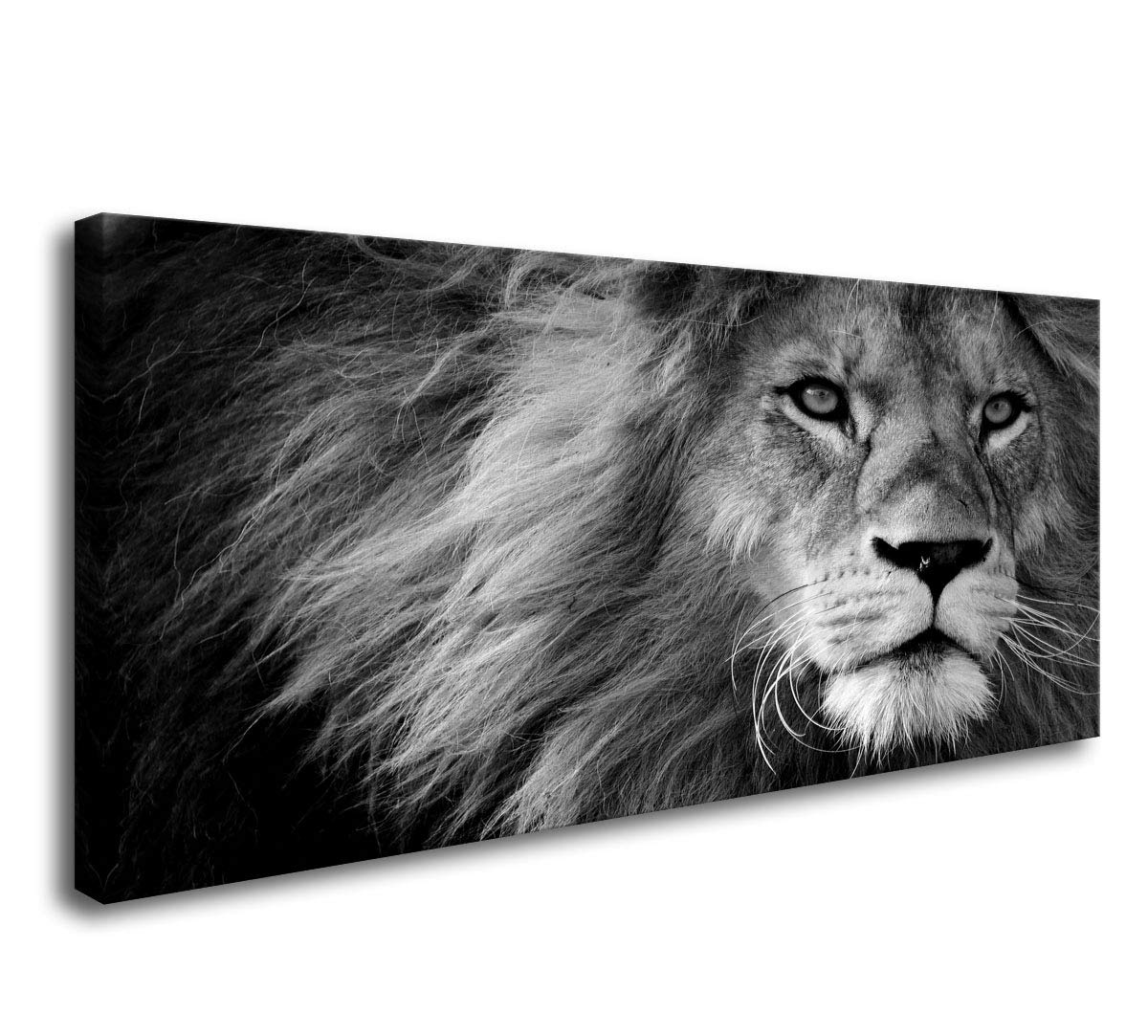 Baisuart-D0162 Canvas Prints Wall Art Grey Lion Stretched Canvas Wooden Framed For Living Room Bedroom And Office