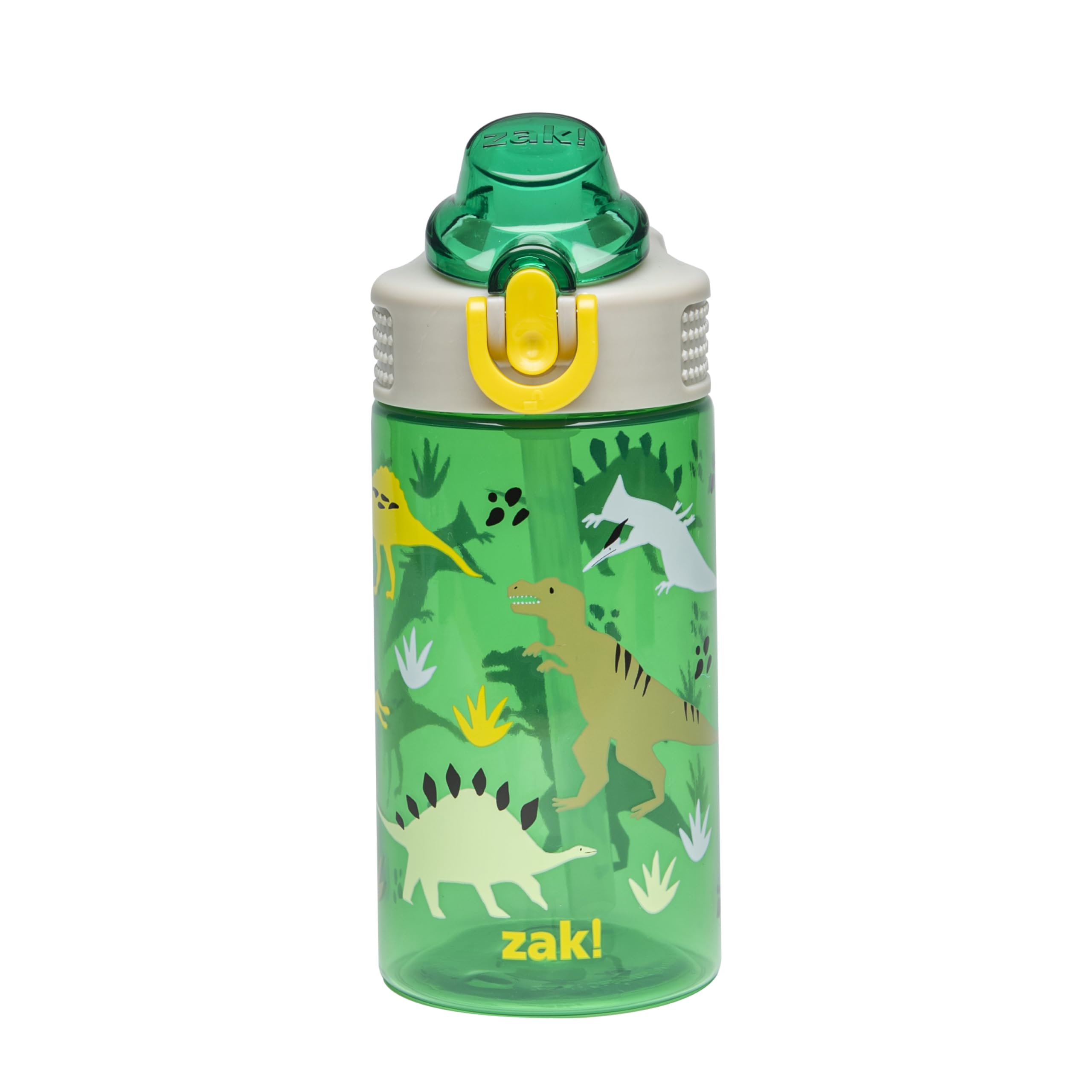Zak Designs Sage Kids Water Bottle For School, Travel or At Home, 16oz Durable Plastic Water Bottle With Straw, Handle, and Leak