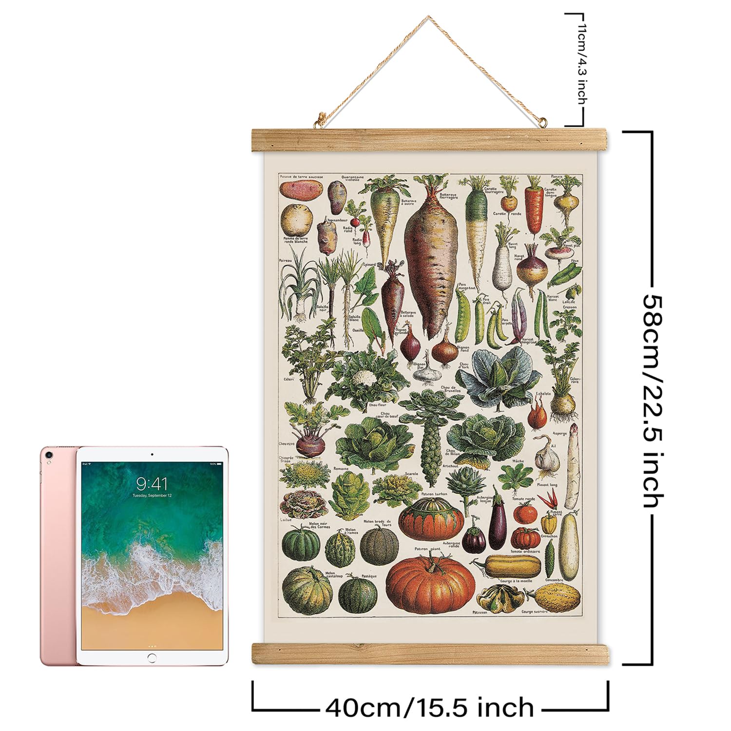Xiaoaika Vintage Vegetable Varieties Poster - Illustrated Garden Produce Chart With Wooden Frame - Educational Kitchen Wall Deco