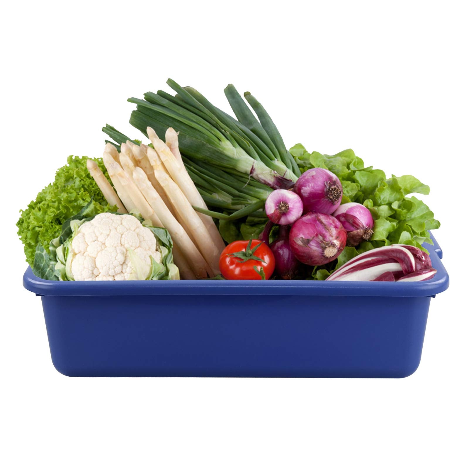 Xyskin Plastic Rectangle Utility Bus Box, Commercial Totes Tubs, Blue, 4 Packs