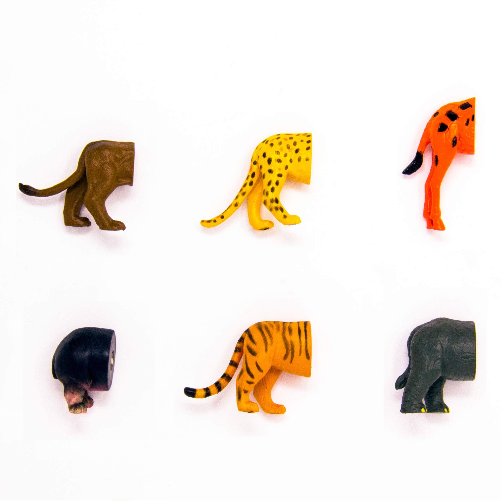 Kikkerland Safari Animal Butt Magnets, Set Of 6 (Mg23)