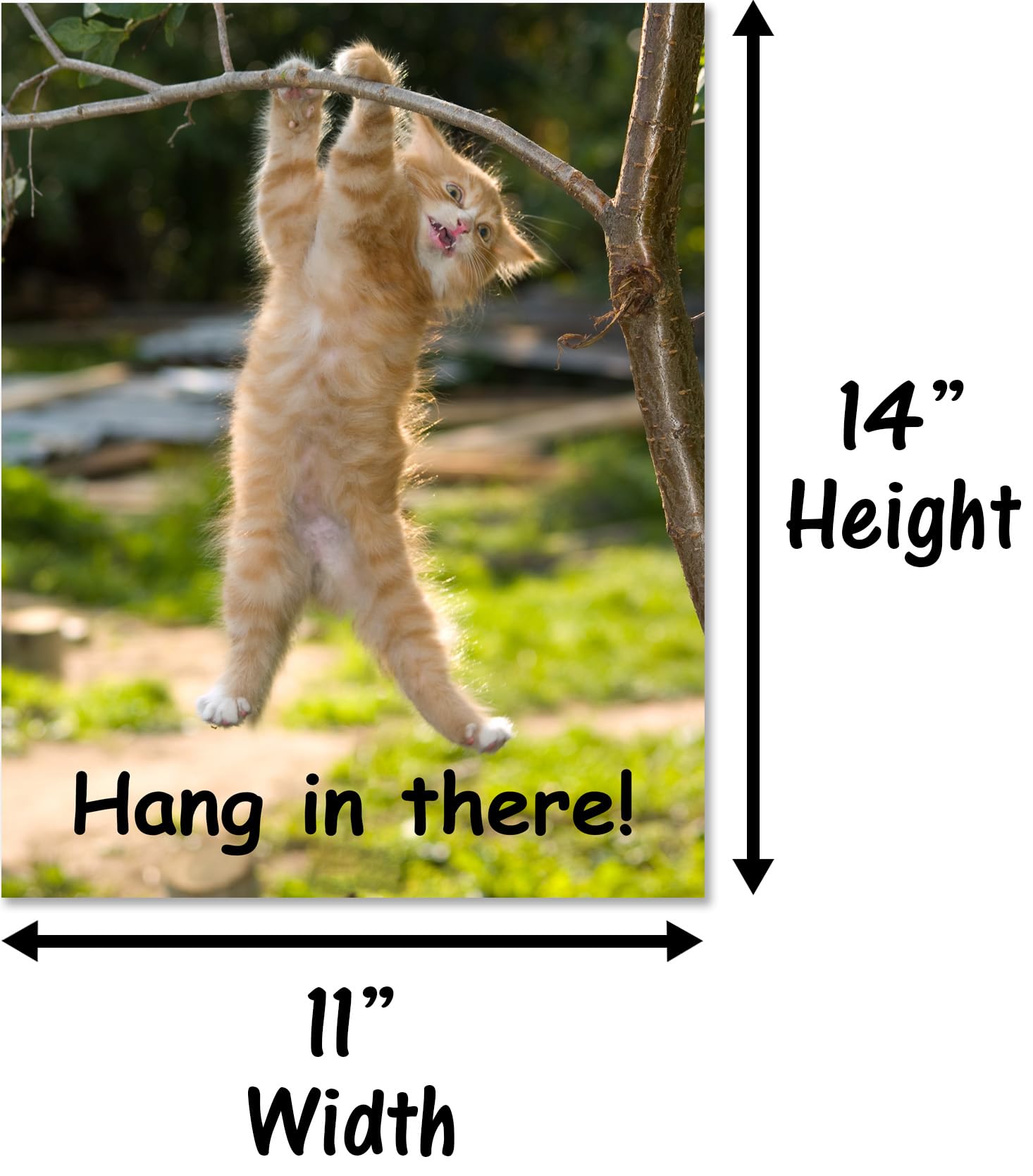 HoneyKICK Hang in There Cat Poster - Funny Motivational Decor - 11 x 14 Inch - Premium Cardstock - Humorous Home or Office Art