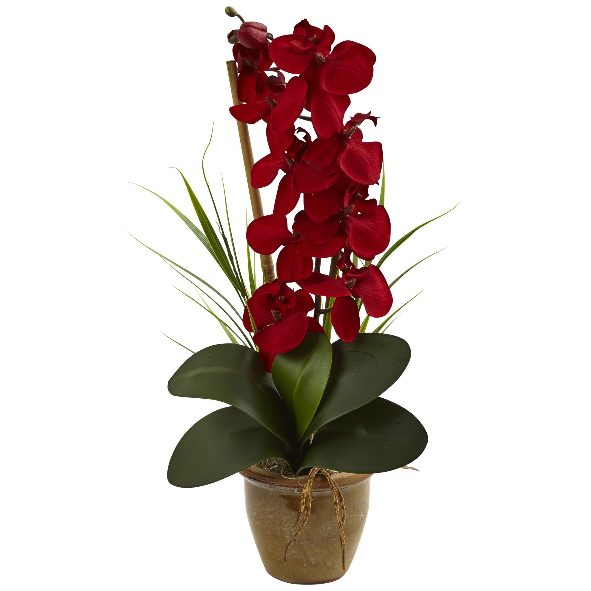 Nearly Natural Phalaenopsis Orchid Silk Arrangement in Ceramic Vase