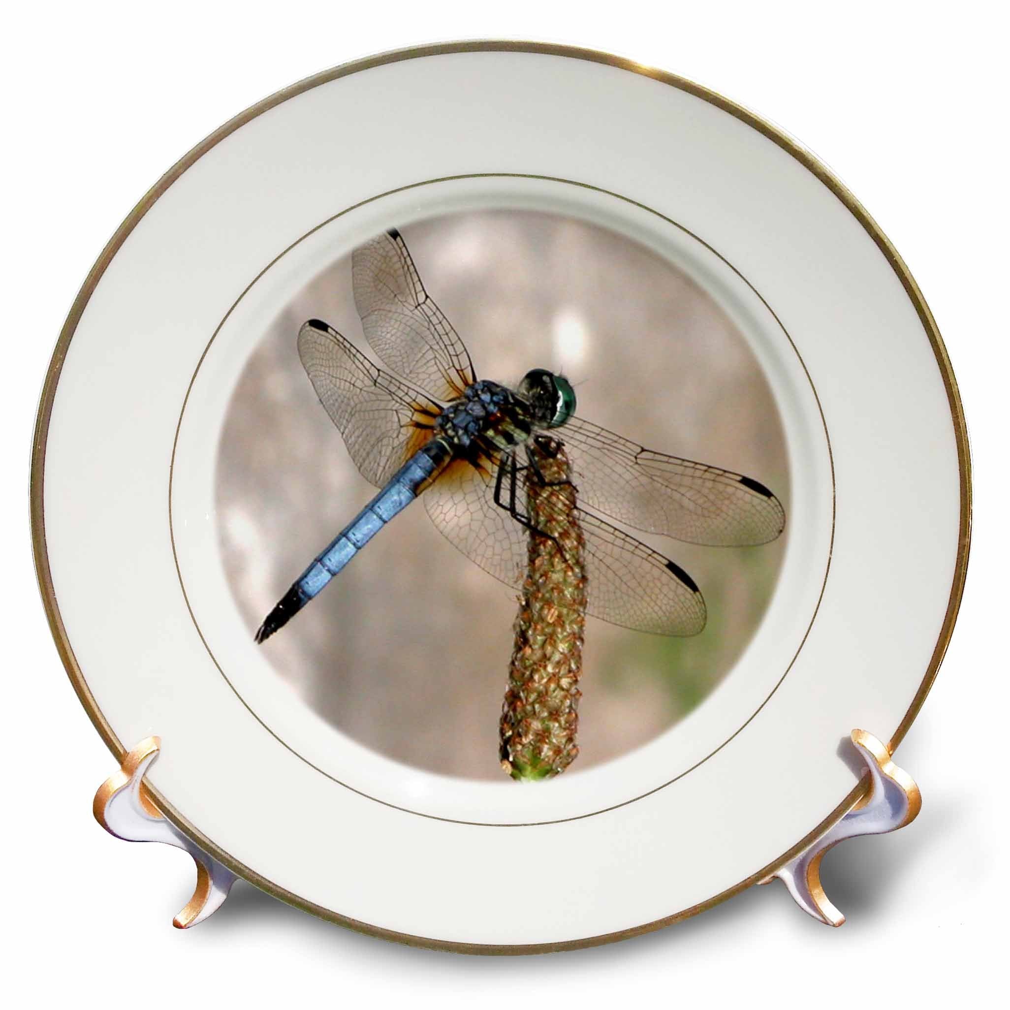 3dRose cp_11560_1 Beautiful Dragonfly Porcelain Plate, 8