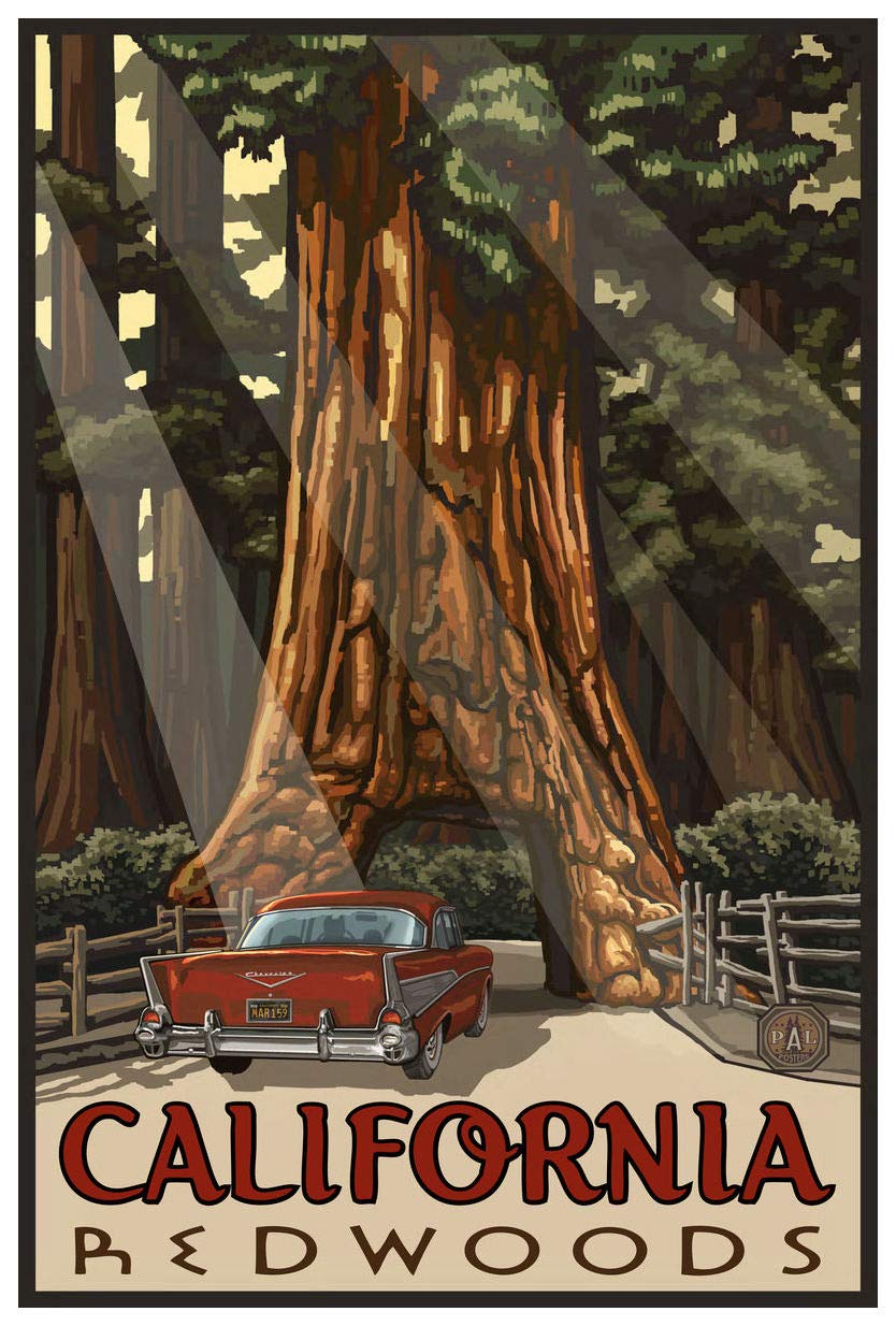 Art Of Place California Redwoods Car Thru Tree Giclee Art Print Poster From Travel Artwork By Artist Paul A. Lanquist 12'' X 18'
