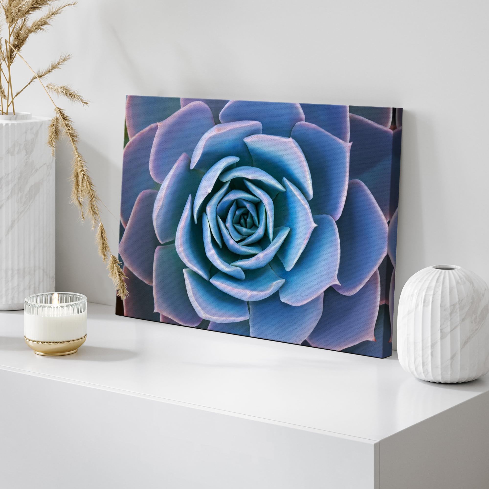 Wall26 Canvas Print Wall Art Blue Purple Desert Echeveria Succulent Nature Floral Photography Realism Botanical Wilderness Zen R