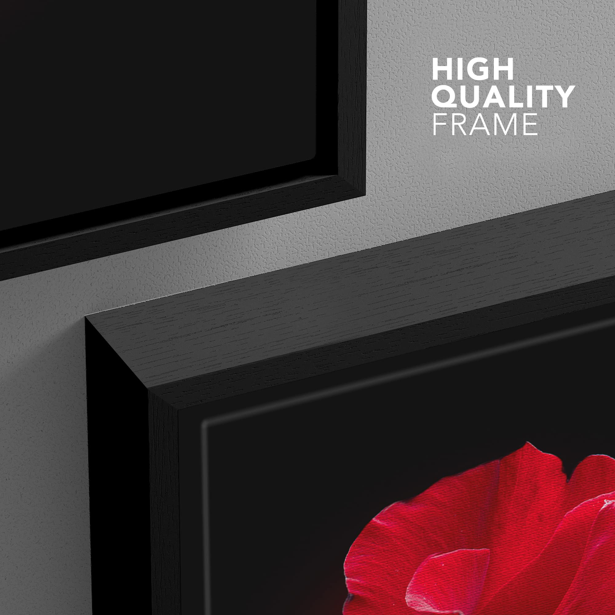 Wall26 Framed Canvas Prints Wall Art - Closeup Of Red Rose Flower Against Black Background | Modern Wall Decorstretched Gallery