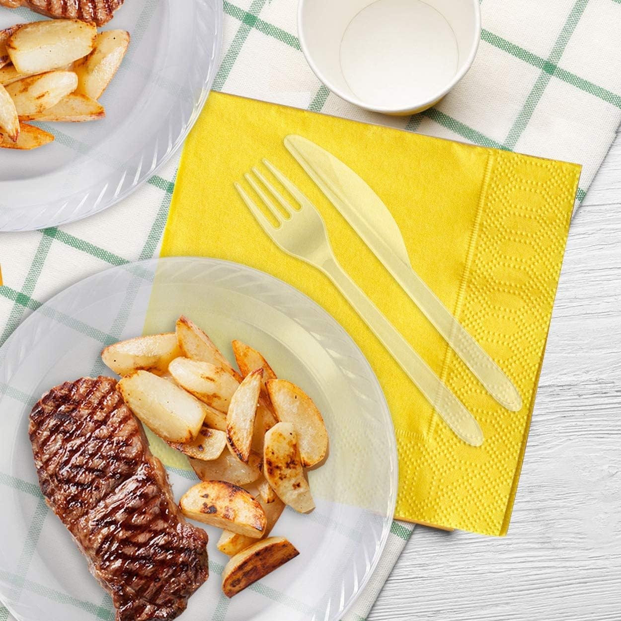 9 Inch Disposable Clear Plastic Plates In Bulk By Framo For Party And Dinner,And For Any Occasion, Microwaveable, Bbq, Travel, A