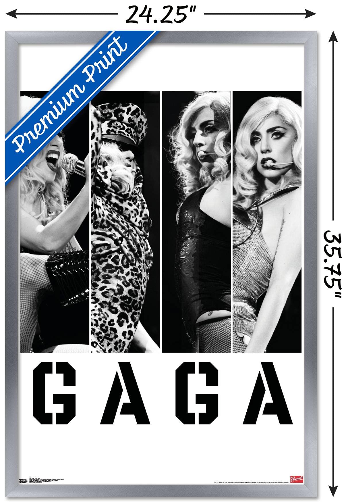 Trends International Lady Gaga - Photo Bars Wall Poster, 22.375'' X 34'', Silver Framed Version