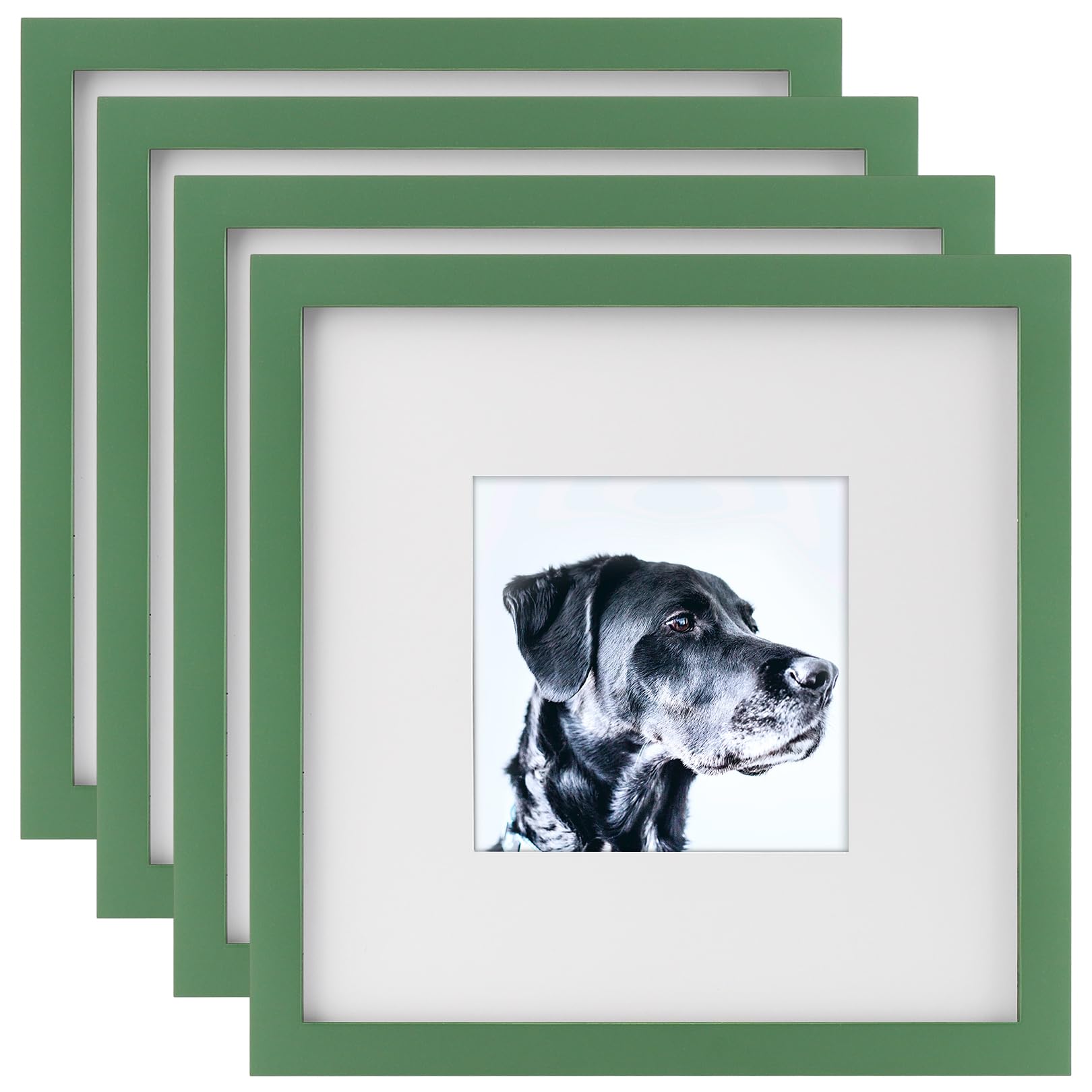 8x8 Green Picture Frames Square Nature Solid Wood 4 Pack for Wall Mounting and Tabletop Display