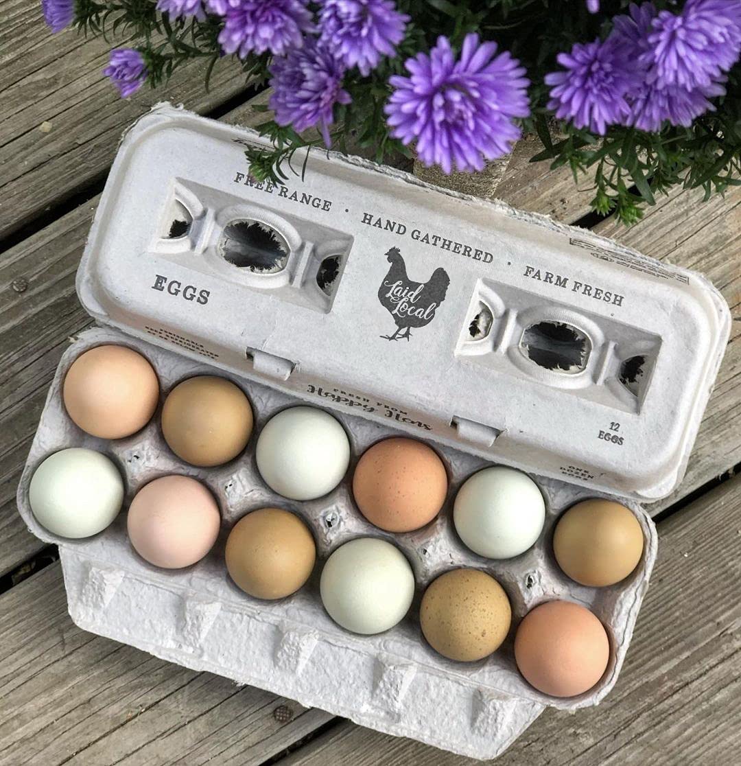 250 Egg Cartons- Bulk Value Bundle- Adorable Printed Design For Farm Fresh Eggs, Recycled Paper Cardboard, Sturdy & Reusable, Ho