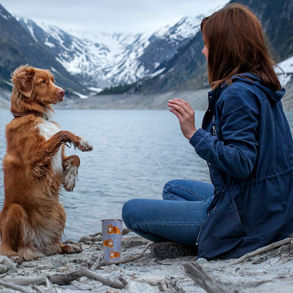 E&S Imports, Inc Orange Tabby Tumbler Serengeti 16 Oz. Stainless Steel, Vacuum Insulated Tumbler With Spill Proof Lid - 3D Print