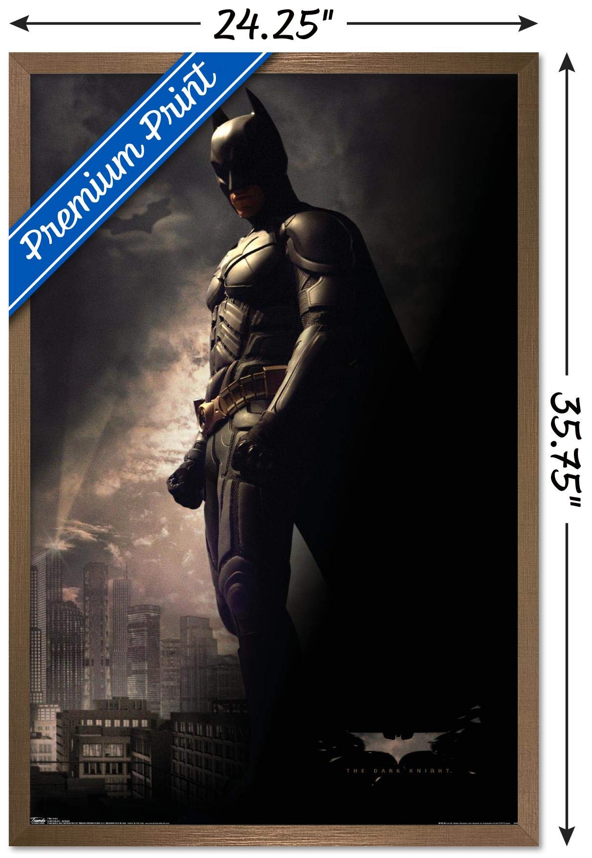 Trends International Dc Comics Movie - The Dark Knight - Batman In The Shadows Wall Poster, 22.375'' X 34'', Bronze Framed Versi
