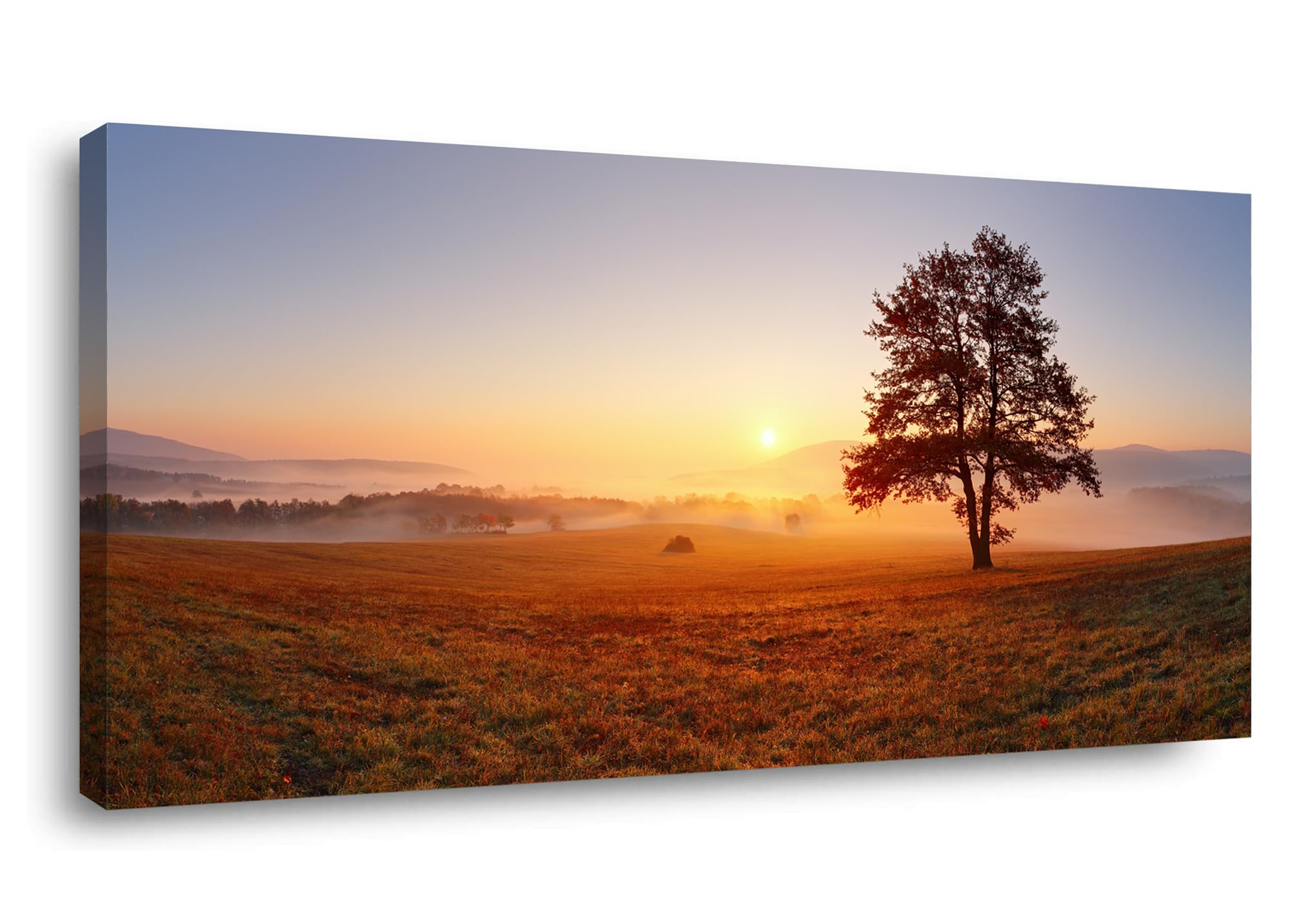 Lasdel Alone Tree On Meadow At Sunset With Mist Landscape Canvas Wall Art For Living Room Bedroom, Beautiful Nature Scenery Pain