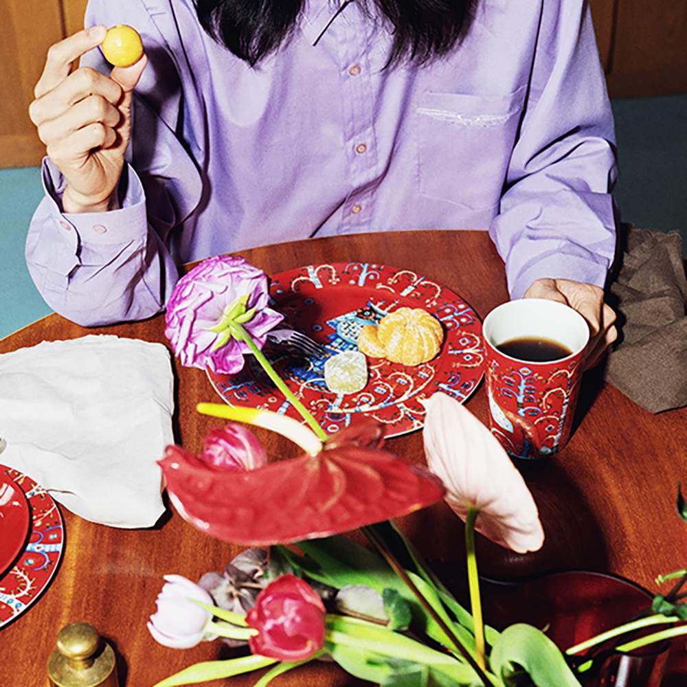 Iittala Taica Mug, 1 Count (Pack Of 1), Red